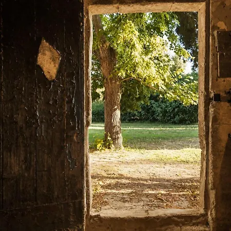 Feriehus Un Refuge Entre Provence Et Camargue Beaucaire (Gard)
