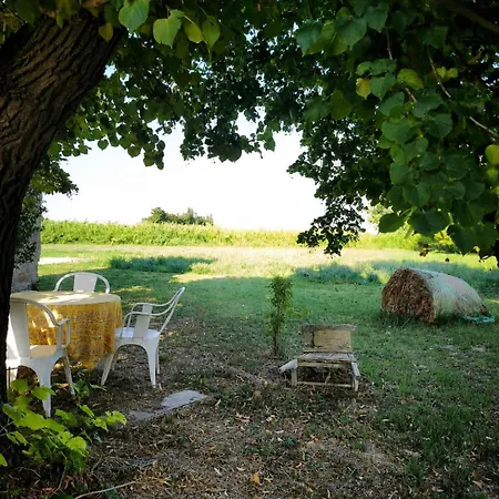 Un Refuge Entre Provence Et Camargue